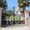 Villa Anna_lowest prices_in_Villa_Central Greece_Attica_Athens