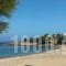 Villa San Dimitrio_best deals_Villa_Cyclades Islands_Paros_Paros Chora