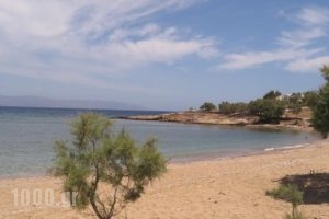 Villa San Dimitrio_lowest prices_in_Villa_Cyclades Islands_Paros_Paros Chora