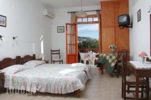 Likio Studios_holidays_in_Hotel_Cyclades Islands_Andros_Batsi