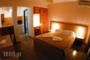 Vassilina Studios_accommodation_in_Room_Ionian Islands_Zakinthos_Zakinthos Rest Areas