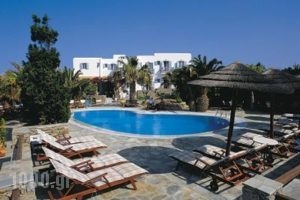 Zephyros_best prices_in_Apartment_Macedonia_Halkidiki_Polychrono