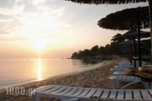 Filius Tellis Appartments_travel_packages_in_Macedonia_Halkidiki_Neos Marmaras