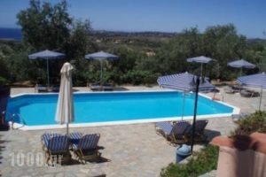 Manolia Studios & Apartments_lowest prices_in_Room_Ionian Islands_Kefalonia_Mousata