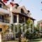 Tzanetos Studios_best deals_Room_Ionian Islands_Zakinthos_Laganas