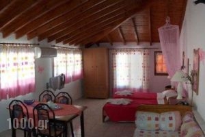 Labros_accommodation_in__Aegean Islands_Samos_Kokkari