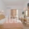 Leonardos Studios And Apartments Paros_best deals_Apartment_Cyclades Islands_Paros_Naousa