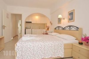 Leonardos Studios And Apartments Paros_best prices_in_Apartment_Cyclades Islands_Paros_Naousa