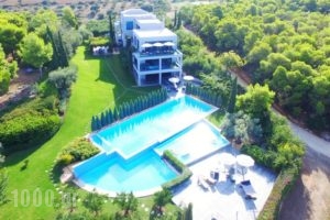 Villa No.10_travel_packages_in_Peloponesse_Argolida_Kranidi