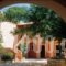 9 Muses_lowest prices_in_Hotel_Ionian Islands_Kefalonia_Assos