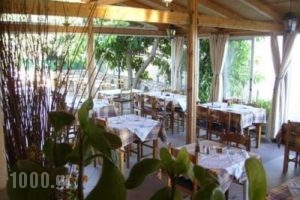 Liocharis Apartments_holidays_in_Apartment_Ionian Islands_Kefalonia_Lourdata