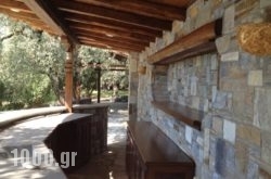Villa Olive in Platanias, Chania, Crete
