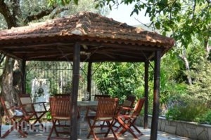 Villa Olive_best prices_in_Villa_Thessaly_Magnesia_Ano Volos