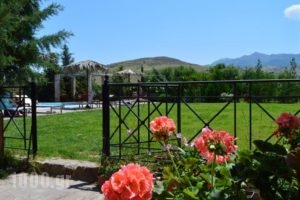 Villas Elpiniki_best prices_in_Villa_Aegean Islands_Lesvos_Mythimna (Molyvos)