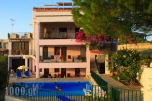 Stroubis Studios I_accommodation_in_Hotel_Aegean Islands_Chios_Chios Chora