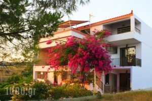 Stroubis Studios I_travel_packages_in_Aegean Islands_Chios_Chios Chora