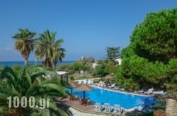 Alkyoni Beach Hotel in Naxos Chora, Naxos, Cyclades Islands