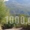 Menina Farm_best deals_Hotel_Thessaly_Magnesia_Pilio Area