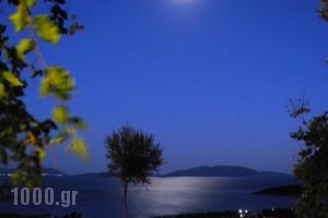 Porto Lafia Apartments_lowest prices_in_Apartment_Central Greece_Evia_Nea Stira