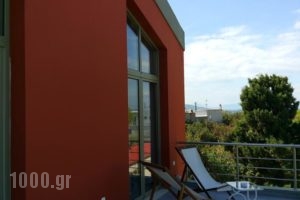 Aegina Holiday Home_holidays_in_Hotel_Piraeus islands - Trizonia_Aigina_Aigina Rest Areas