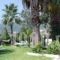 Villa Angela_holidays_in_Villa_Ionian Islands_Lefkada_Vasiliki