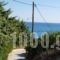 Mediterraneo Apartments_best deals_Apartment_Dodekanessos Islands_Rhodes_Archagelos