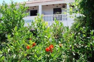 Studio Stars_accommodation_in_Hotel_Ionian Islands_Zakinthos_Laganas