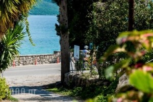 Nikoleta Studios_best deals_Hotel_Ionian Islands_Lefkada_Lefkada Chora