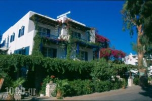 Afendakis Hotel_accommodation_in_Hotel_Cyclades Islands_Paros_Paros Chora