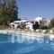 Amalia Hotel Olympia_accommodation_in_Hotel_Peloponesse_Ilia_Olympia