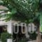 Yiorgos Hotel_best deals_Hotel_Dodekanessos Islands_Kos_Kos Chora