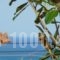 Two Brothers Tsilivi Zakynthos_best deals_Hotel_Ionian Islands_Zakinthos_Zakinthos Rest Areas