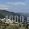 Atrium Villas_best deals_Villa_Sporades Islands_Skiathos_Skiathoshora