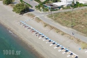 Sweet Kalimera Apartments_travel_packages_in_Dodekanessos Islands_Kos_Kardamena