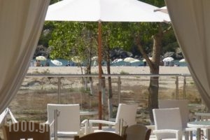 Ammos Bay_holidays_in_Hotel_Epirus_Preveza_Ammoudia