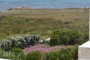 Golden Sea Villas_lowest prices_in_Villa_Cyclades Islands_Paros_Chrysi Akti