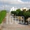 Aphrodite Villa Gennadi_lowest prices_in_Villa_Dodekanessos Islands_Rhodes_Rhodes Rest Areas