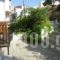 Pension Margarita_holidays_in_Hotel_Sporades Islands_Skiathos_Skiathoshora