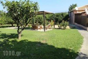 Caposaldo Apartments_holidays_in_Apartment_Peloponesse_Achaia_Akrata