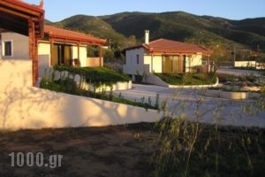 Villa Anastasia_accommodation_in_Villa_Macedonia_Serres_Amfipoli