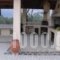 Villa Anastasia_best deals_Villa_Macedonia_Serres_Amfipoli