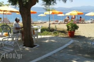 Pension Akrogiali_holidays_in_Hotel_Central Greece_Evia_Amaranthos