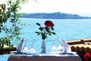 Hotel Vriniotis_holidays_in_Hotel_Peloponesse_Ilia_Pyrgos