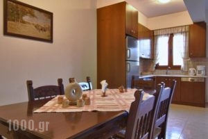 Apartments Petrochori Villas_holidays_in_Villa_Crete_Rethymnon_Plakias