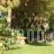 Zorbas Apartments_best deals_Apartment_Aegean Islands_Chios_Chios Rest Areas