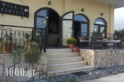 Villa Camellia in Athens, Attica, Central Greece