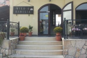 Villa Camellia_holidays_in_Villa_Macedonia_Halkidiki_Arnea