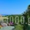 Konstantina Studios_best deals_Hotel_Sporades Islands_Skopelos_Skopelos Chora