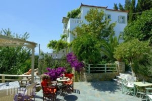 Konstantina Studios_holidays_in_Hotel_Sporades Islands_Skopelos_Skopelos Chora