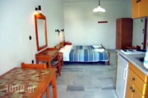 Popi_best prices_in_Apartment_Crete_Chania_Agia Marina